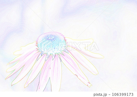 パステル調　”エキナセア”　イラストイメージ 106399173
