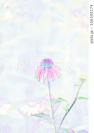 パステル調　”エキナセア”　イラストイメージ 106399174