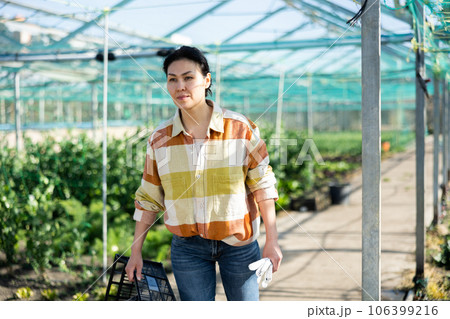 Asian female farmer carrying empty box in vegetable greenhouse 106399216