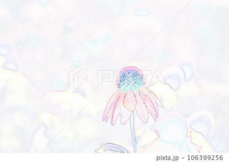 パステル調　”エキナセア”　イラストイメージ 106399256