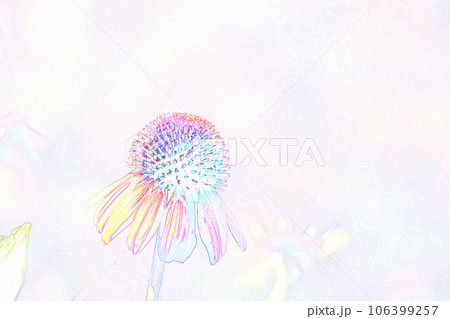 パステル調　”エキナセア”　イラストイメージ 106399257