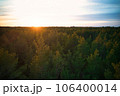 Above aerial shot of green pine forests and yellow foliage groves with beautiful texture of golden treetops. Beautiful fall season scenery in evening. Mountains in autumn colors in golden time 106400014