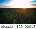 Above aerial shot of green pine forests and yellow foliage groves with beautiful texture of golden treetops. Beautiful fall season scenery in evening. Mountains in autumn colors in golden time 106400015