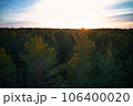 Above aerial shot of green pine forests and yellow foliage groves with beautiful texture of golden treetops. Beautiful fall season scenery in evening. Mountains in autumn colors in golden time 106400020