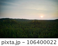 Above aerial shot of green pine forests and yellow foliage groves with beautiful texture of golden treetops. Beautiful fall season scenery in evening. Mountains in autumn colors in golden time 106400022