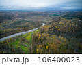 Above aerial shot of green pine forests and yellow foliage groves with beautiful texture of golden treetops. Beautiful fall season scenery in evening. Mountains in autumn colors in golden time 106400023