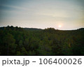 Above aerial shot of green pine forests and yellow foliage groves with beautiful texture of golden treetops. Beautiful fall season scenery in evening. Mountains in autumn colors in golden time 106400026