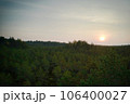 Above aerial shot of green pine forests and yellow foliage groves with beautiful texture of golden treetops. Beautiful fall season scenery in evening. Mountains in autumn colors in golden time 106400027