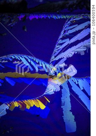 クエン酸 クエン酸 106400594