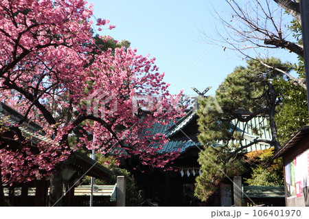 荏原神社 106401970