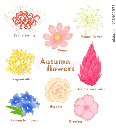 秋のお花アイコンセット 106402975