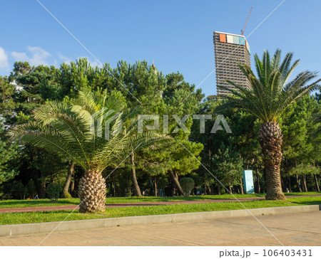 Walkway in the park at the resort. Georgian resort. Holidays in Asia.  Skyscraper on the background of trees 106403431