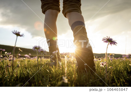 Woman hiker legs walking on beautiful flowering grassland Woman hiker legs walking on beautiful flowering grassland 106403847