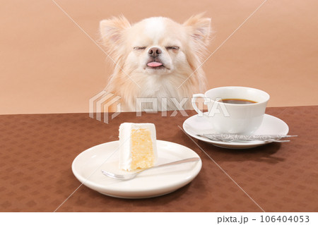 ケーキとコーヒーでティータイムを楽しむチワワ ケーキとコーヒーでティータイムを楽しむチワワ 106404053