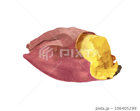 焼き芋（半分）② 106405299