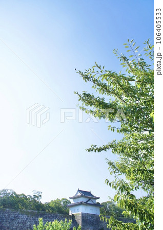 新緑の木々の間から見える天守閣 106405533