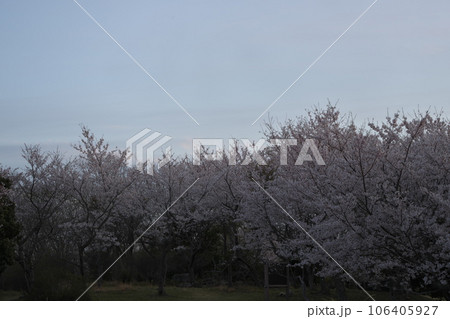 《岡山県》瀬戸内海国立公園 夕立受山で見る春の風景 《岡山県》瀬戸内海国立公園 夕立受山で見る春の風景 106405927