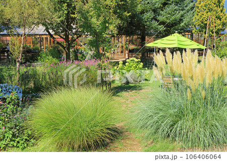 宿根草の庭 106406064
