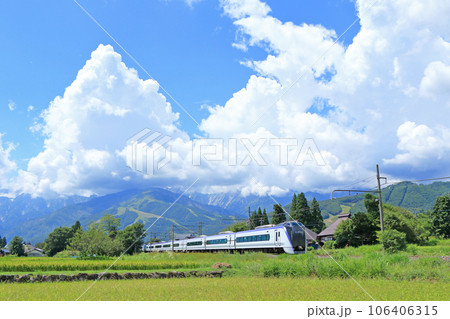 大糸線　夏の白馬山麓を行く特急あずさ 106406315