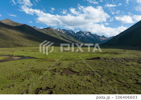 Aerial view of beautiful high altitude grassland and flowers, China Aerial view of beautiful high altitude grassland and flowers, China 106406603