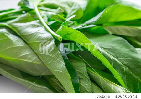 茎に空洞がある野菜　空心菜 106406841