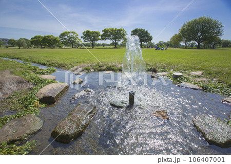 水前寺江津湖公園の天然噴水 106407001