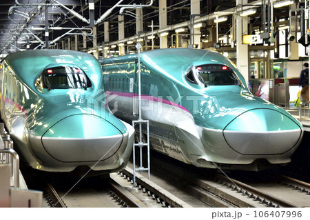 東北新幹線　はやぶさ　盛岡駅にて 106407996