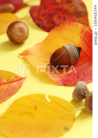 どんぐりと秋の葉っぱたち 106408344