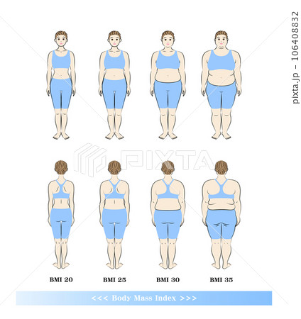 BMI ボディマスインデックス 中高年女性の体形変化 ダイエットのビフォーアフター イラスト 106408832