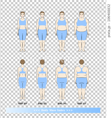 BMI ボディマスインデックス 中高年女性の体形変化 ダイエットのビフォーアフター イラスト 106408832