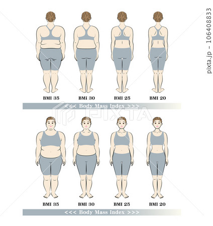 BMI ボディマスインデックス 中高年女性の体形変化 ダイエットのビフォーアフター イラスト 106408833