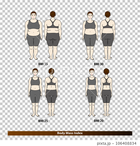BMI Body Mass Index Body shape changes in middle-aged and elderly women Before and after diet illustration 106408834