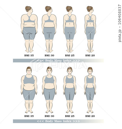 BMI ボディマスインデックス 若い女性の体形変化 ダイエットのビフォーアフター イラストのイラスト素材 [106408837] - PIXTA