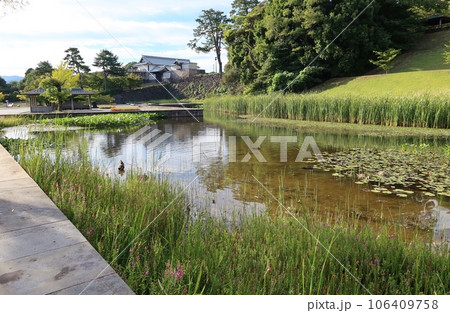 石川県金沢市にある金沢城公園と池の景色 106409758