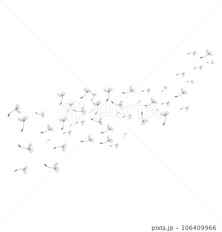 Dandelion Logo, Vector Plant Dandelion flower, Design Icon Template Dandelion Logo, Vector Plant Dandelion flower, Design Icon Template 106409966