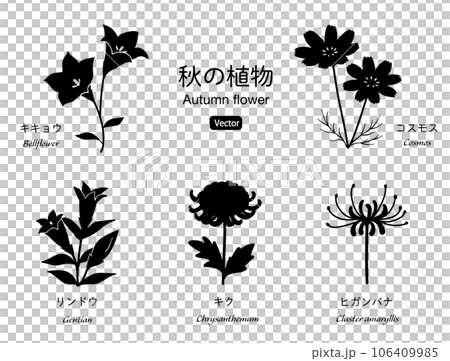 秋の花のシルエット　アイコンセット 106409985
