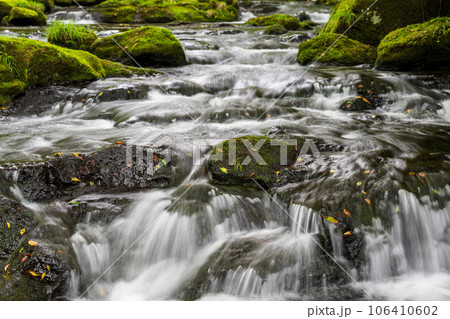 自然の中に流れる清流感ある菊池渓谷につながる滝 自然の中に流れる清流感ある菊池渓谷につながる滝 106410602