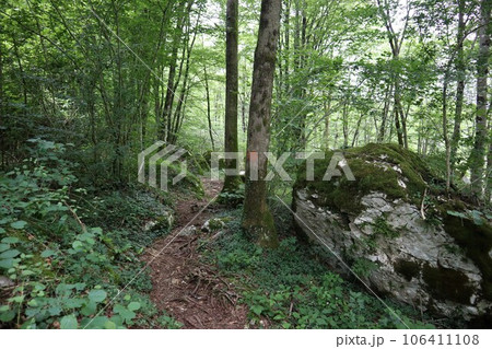 スロベニア、ユリアンアルプス、トルノヴォのトレイル スロベニア、ユリアンアルプス、トルノヴォのトレイル 106411108