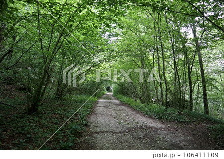 スロベニア、トルノヴォのトレイル スロベニア、トルノヴォのトレイル 106411109