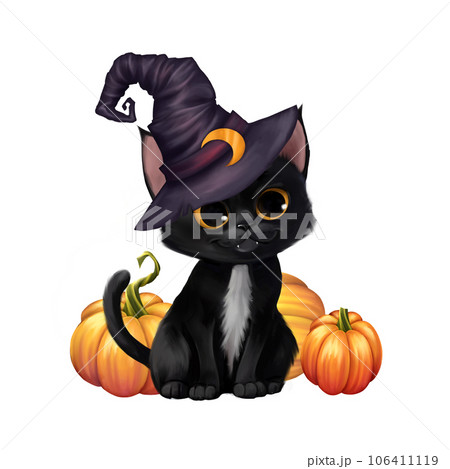 Cute cat in a witch hat sitting with a Halloween pumpkins, isolated on white Cute cat in a witch hat sitting with a Halloween pumpkins, isolated on white 106411119