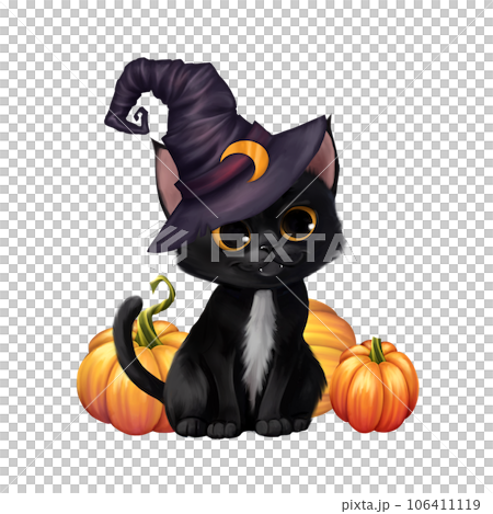 Cute cat in a witch hat sitting with a Halloween pumpkins, isolated on white 106411119