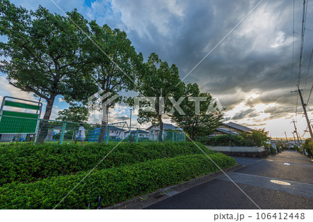 2023夏　奈良市街地の空　道路に沿って植わる公園の街路樹と住宅街の先の夕日 106412448