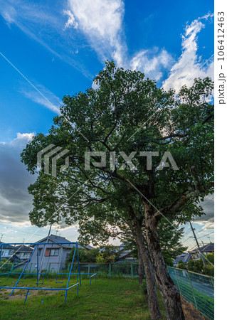 2023夏 奈良市街地の空 公園の並木と背後の夏空 2023夏 奈良市街地の空 公園の並木と背後の夏空 106412463
