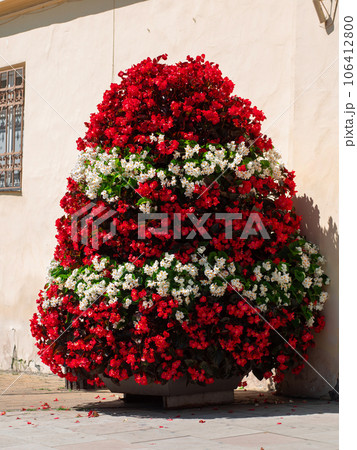 Flower Tower Everblooming Begonia flowers cascade planters city street decoration in metal structure Urban Public spaces Flower Tower Everblooming Begonia flowers cascade planters city street decoration in metal structure Urban Public spaces 106412800
