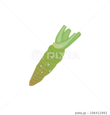 食べ物_野菜_ワサビ 106412991