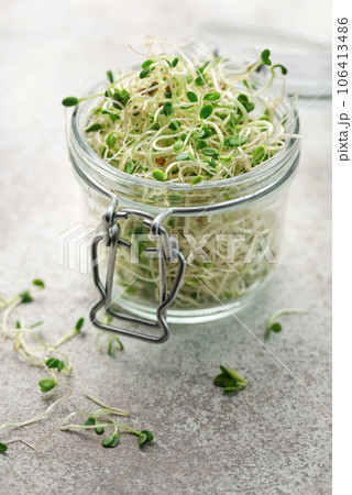 Microgreens grown in a jar. Microgreens grown in a jar. 106413486