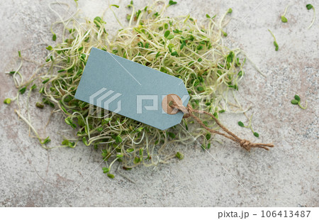 Microgreens grown in a jar. Microgreens grown in a jar. 106413487