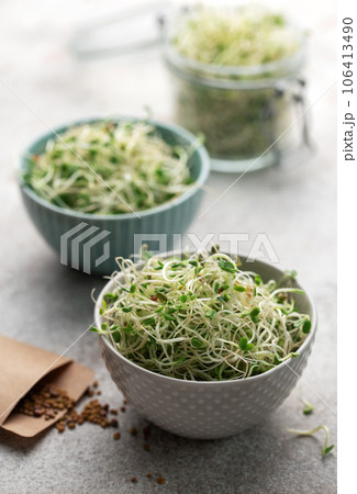 Microgreens grown in a jar. Microgreens grown in a jar. 106413490