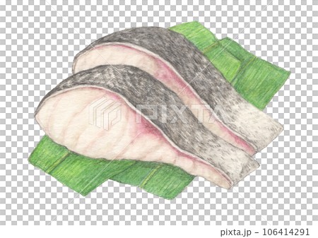 笹の葉にのったタラの切り身　水彩色鉛筆イラスト 106414291