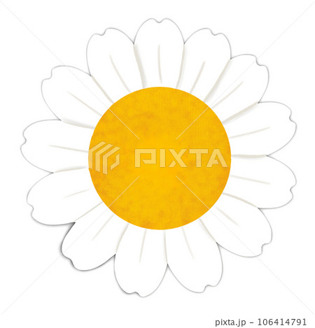 flower 106414791